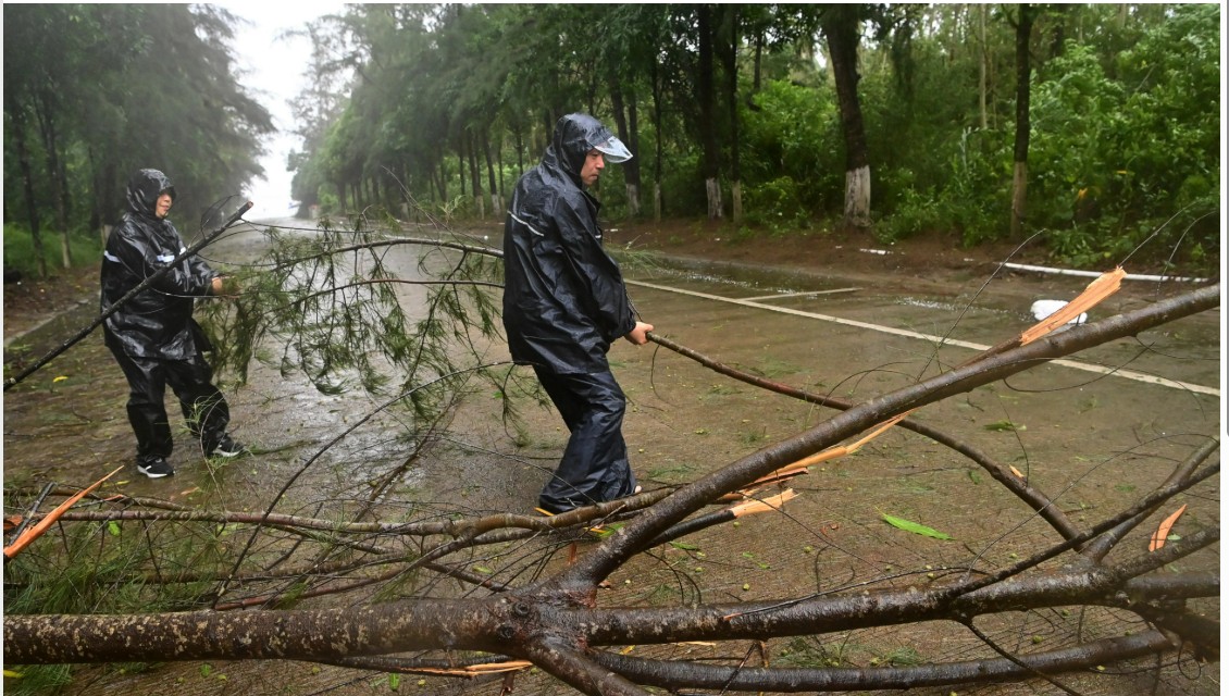 Heavy rains leave 5 dead in northern China