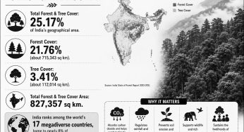 From Chipko to Saat Mod: India’s enduring battle to save its forests