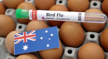Australia’s New South Wales confirms H5N1 bird flu case, third state