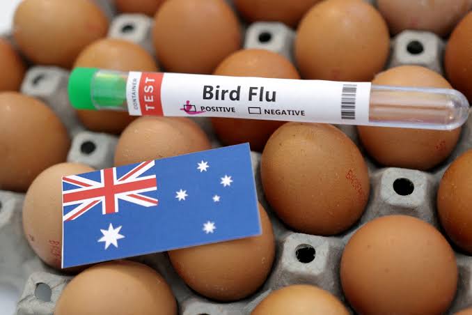 Australia’s New South Wales confirms H5N1 bird flu case, third state