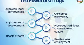GI Tags: Scaling Traditional Wealth into Global Brands