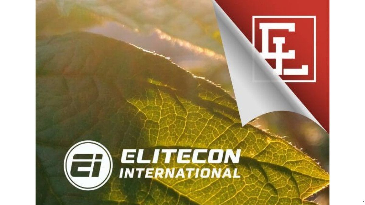 Elitecon International Share Price Hits 5% Upper Circuit Amid Market Recovery