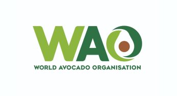World Avocado Organisation Deepens Its India Focus with 2026 Campaign, Bringing Avocados Closer to Everyday Indian Cuisine!