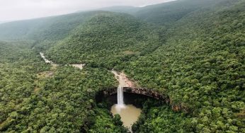 Congress’ Jairam alleges Tara Coal Block auction and “ecocide”, will devastate Hasdeo forests