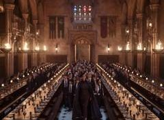 ‘Harry Potter’ series finds its James and Lily Potter; Harry Gilby joins as Charlie Weasley