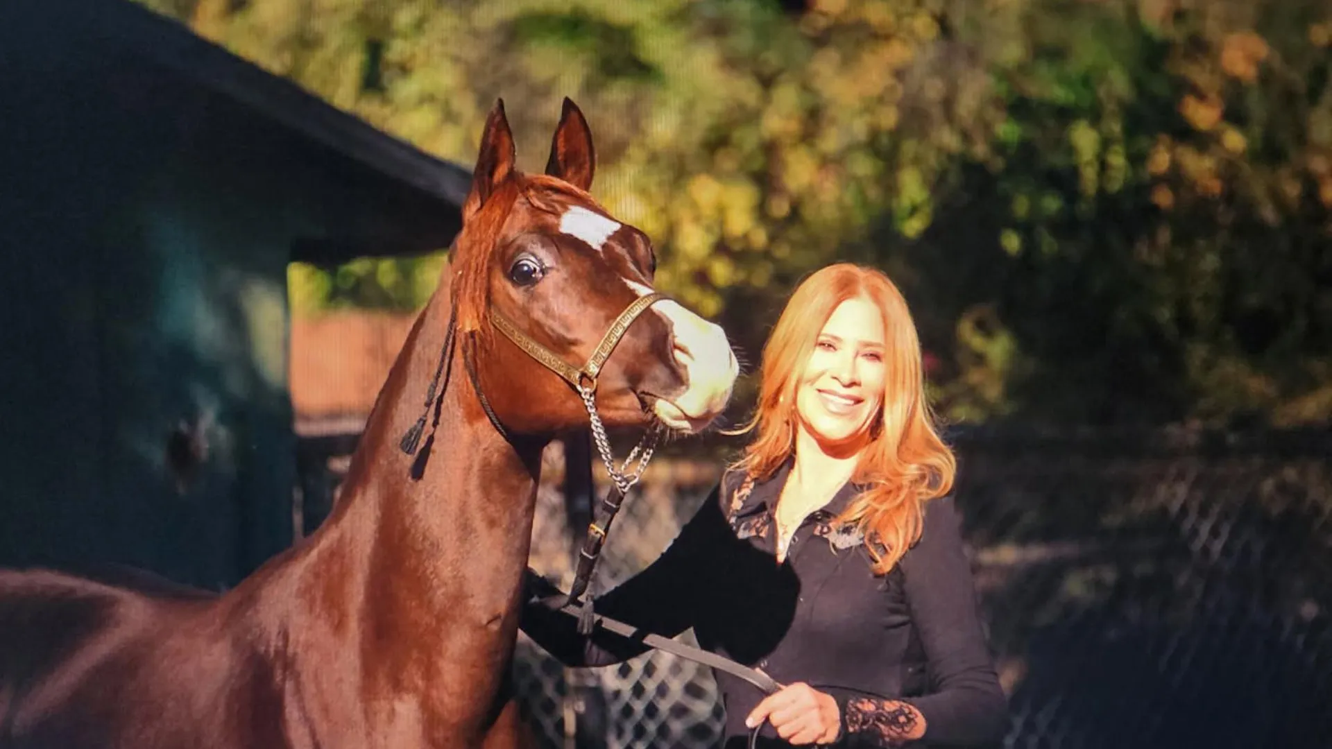 Philanthropist Ann Lesley Smith Shares the Lasting Legacy Hidden in the Bond Between Humans and Purebred Arabian Horses