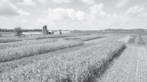 Why India’s Rural Economy Needs Purchasing Power