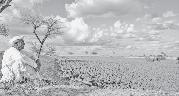 How long will we keep gazing at the clouds?