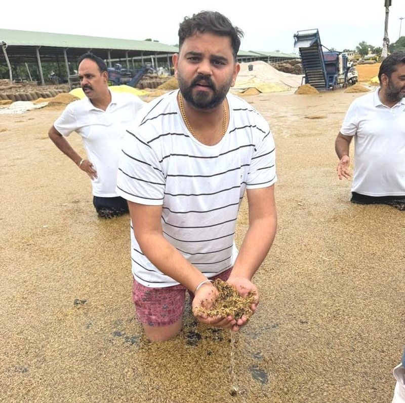 Rain-hit paddy puts Punjab farmers in distress as procurement season faces fresh test
